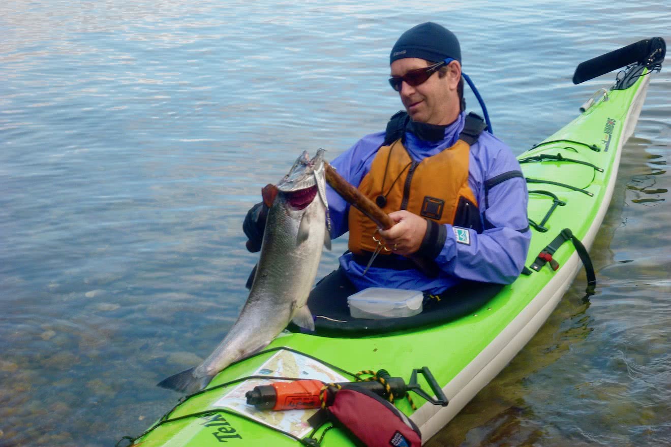 A kayaker comes to shore after catching a huge salmon while fishing in Desolation Sound