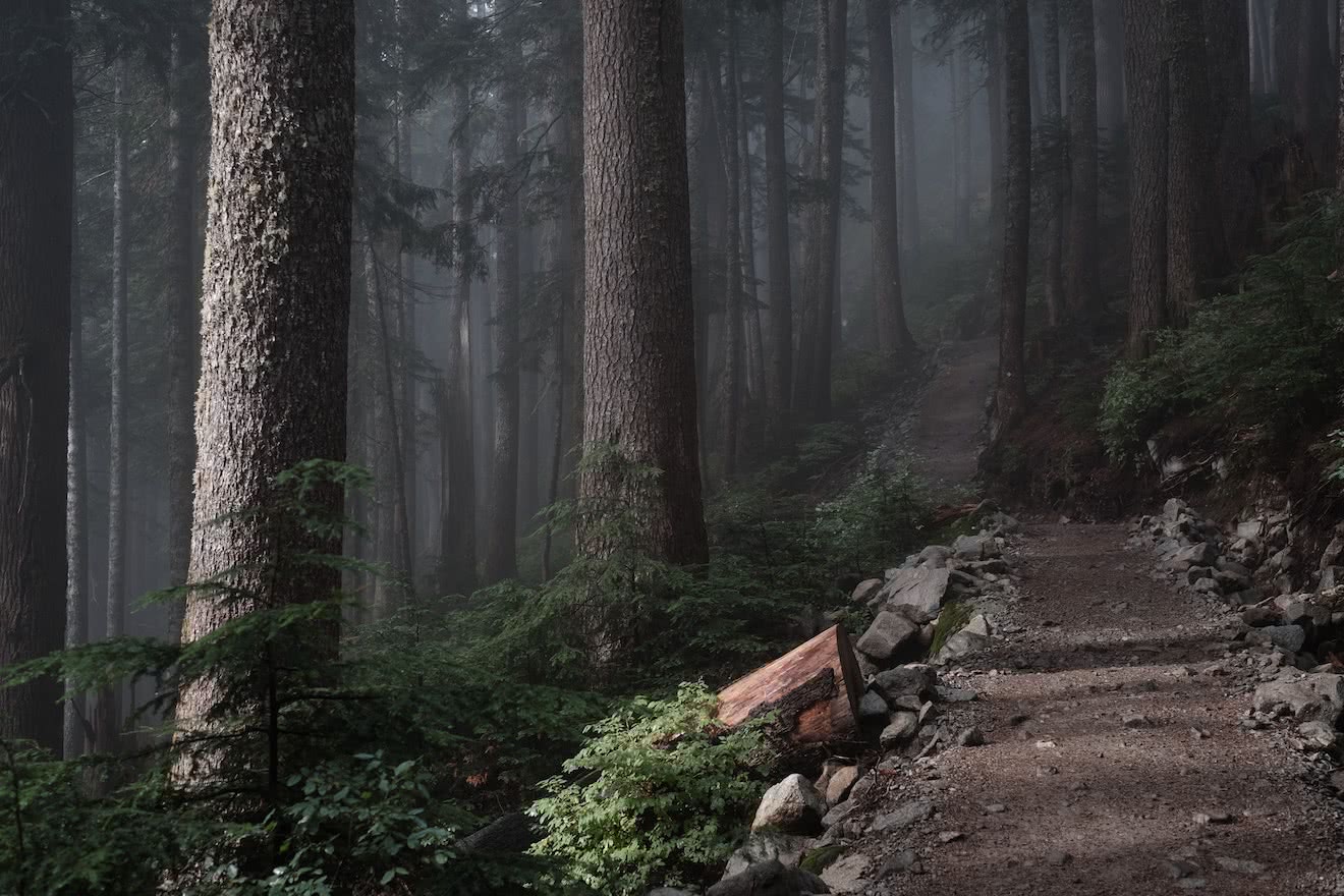 A misty trail on the outskirts of Vancouver, British Columbia