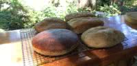 Our cooks bake fresh bread daily at Cabana Desolation