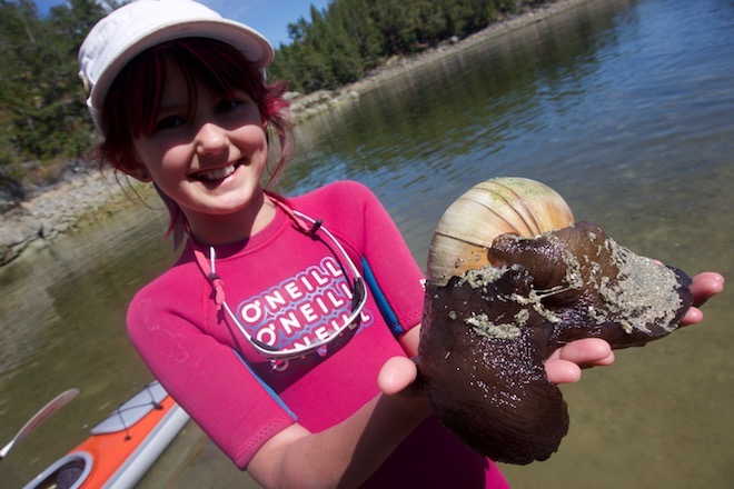 A young guest holds a moon snail on a Cabana Desolation Eco Resort package