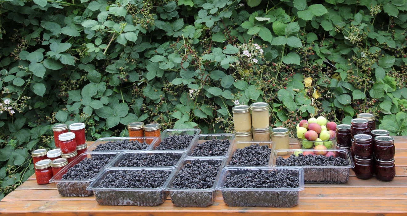 Freshly picked blackberries and homemade jams
