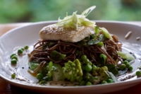 Seared Halibut on a bed of Soba noodles with grilled eggplant, baby bok choi, romanesco and locally sourced greens, with a tahini and black sesame sauce