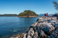 Two people snorkeling in Desolation Sound while others watch on from above
